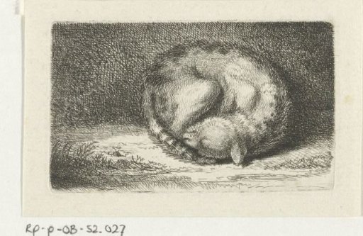 Sleeping Cat