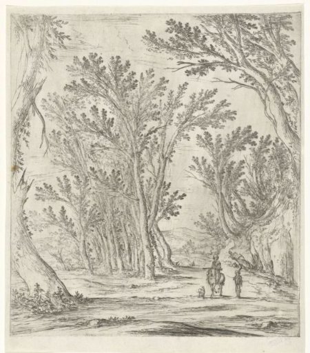Forest path