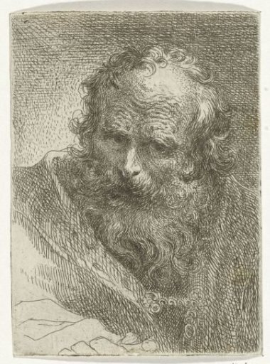 Head of an Old Man