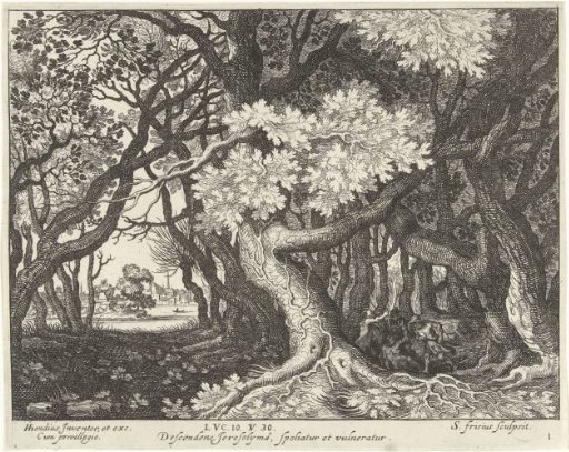 Robbery of a man in a forest