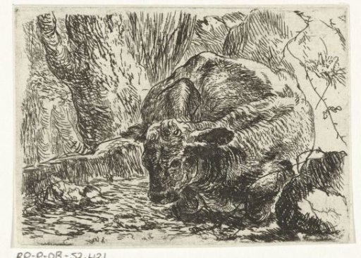 Cow