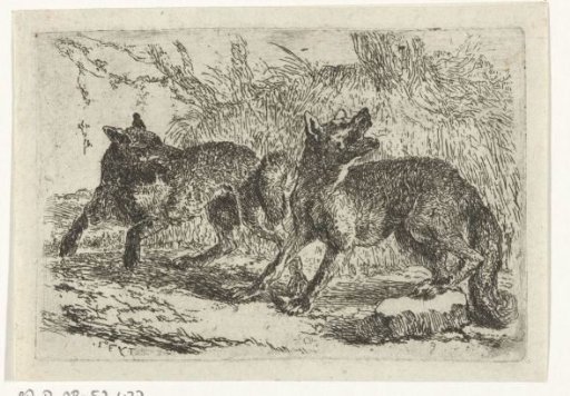 Two wolves
