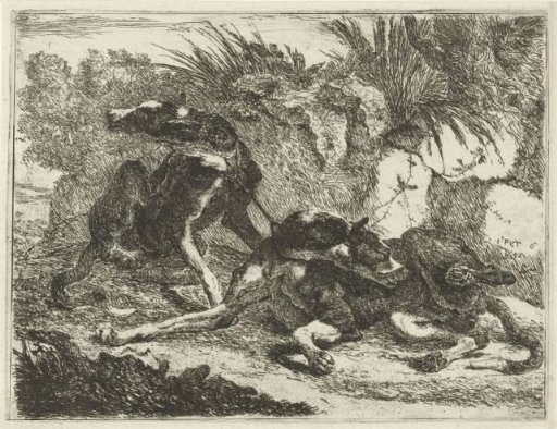 Two dogs