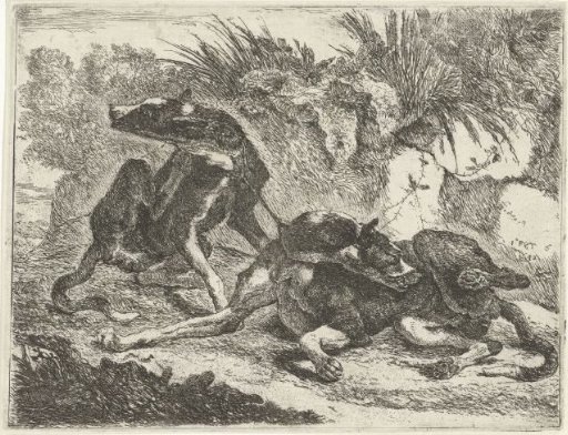 Two dogs
