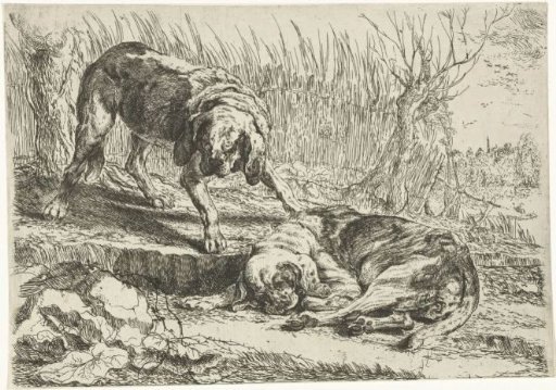 Two dogs