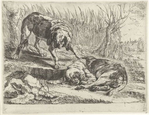 Two dogs