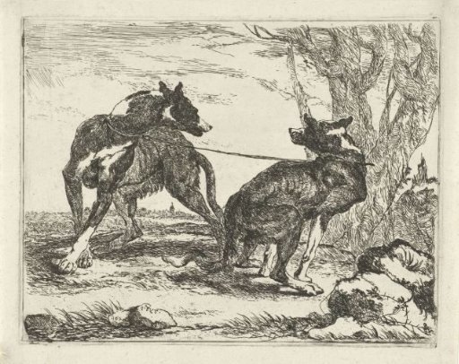 Two dogs
