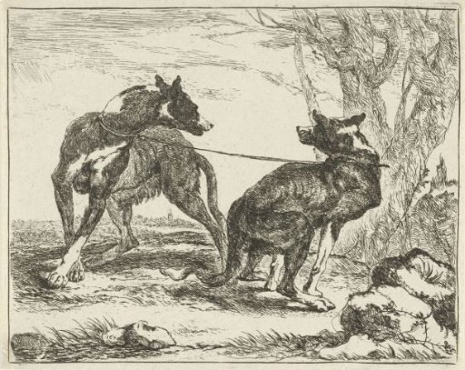 Two dogs