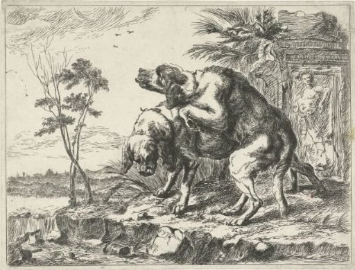 Two mating dogs
