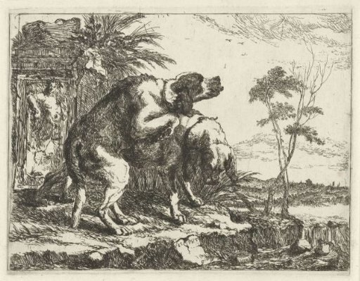 Two mating dogs