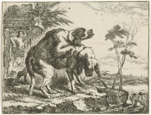 Two mating dogs