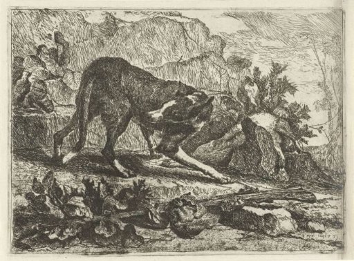A dog