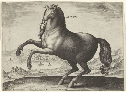 Horse from Southern Italy (Appulus)