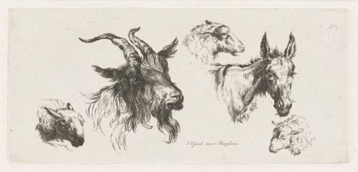 Study sheet with animal heads