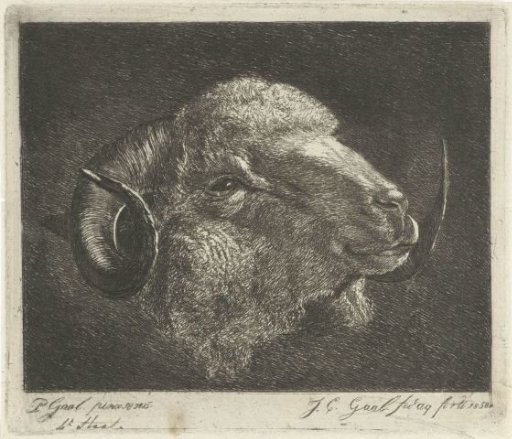 Head of a ram with horns turned backwards