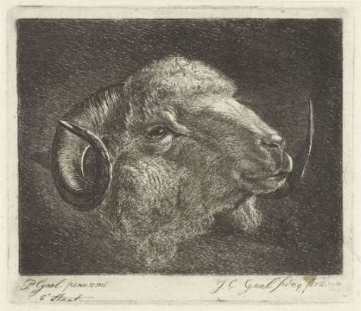 Head of a ram with horns turned backwards