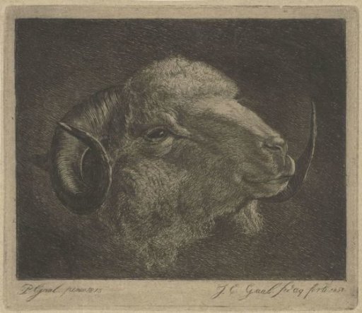 Head of a ram with horns turned backwards