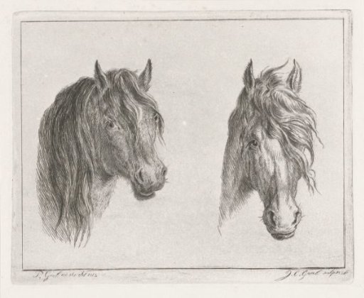 Two horse heads