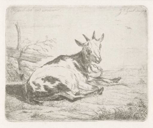 Recumbent goat, facing right