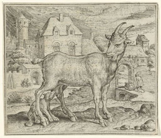 Fable of the Goat and the Young Wolf