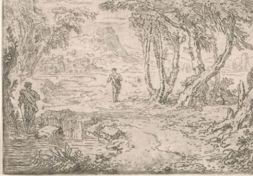 Trees on the bank of a lake