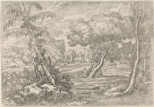 Wooded landscape
