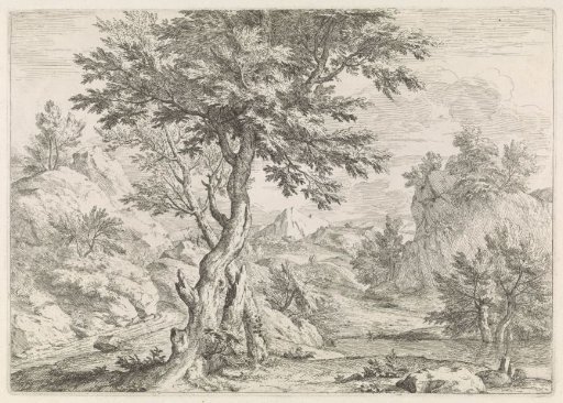 Hilly landscape with rocks