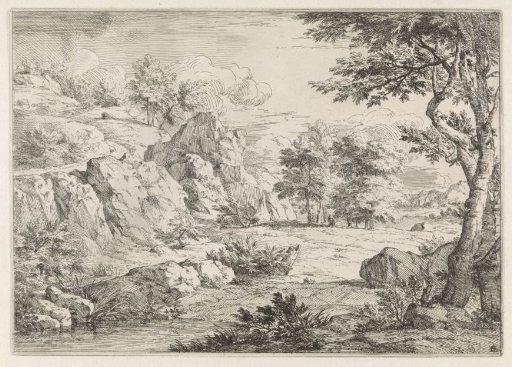 Hilly landscape with a pond