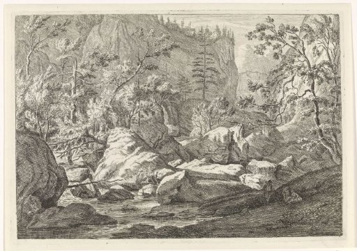 Ravine with boulders and trees