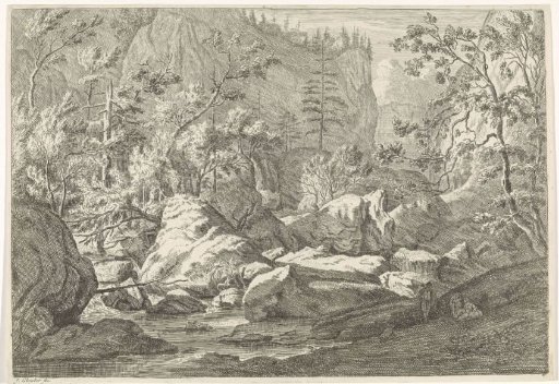 Ravine with boulders and trees