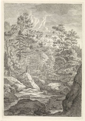 Ravine with trees and a brook