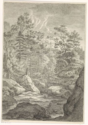Ravine with trees and a brook