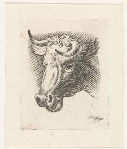 Head of a bull