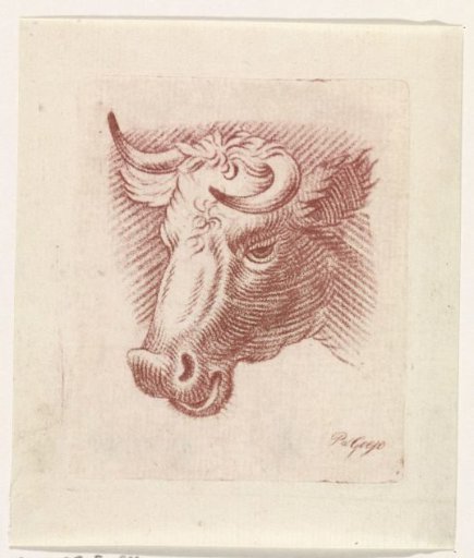 Head of a bull