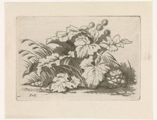 Group of roadside plants