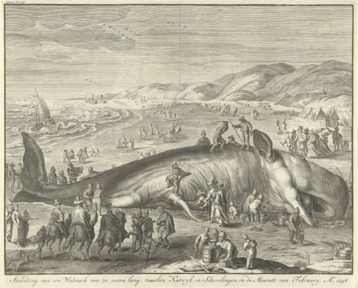 Stranded whale at Berckhey, 1598
