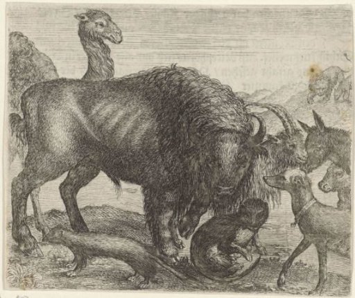Fable of the Bison and the Other Animals