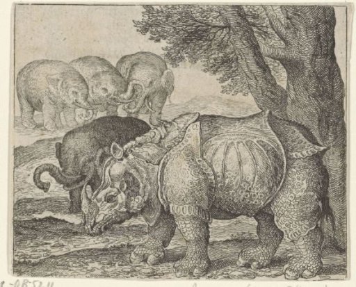 Fable of the Rhinoceros and the Elephants