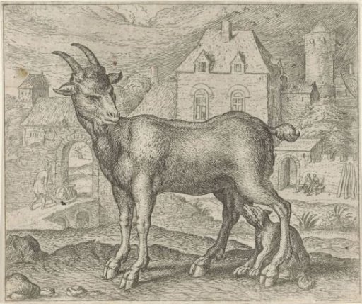Fable of the Goat and the Young Wolf