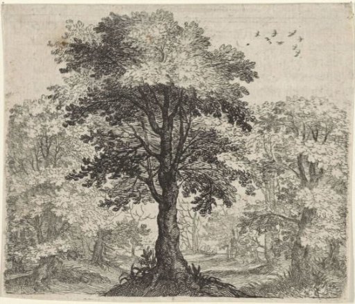 Fable of the Newt and the Oak