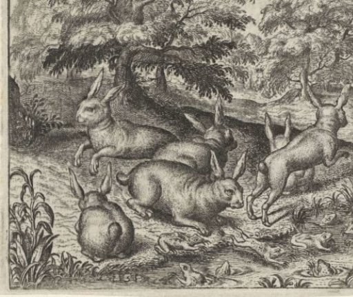 Fable of the Hares and the Frogs