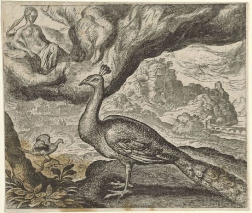 Fable of the Peacock and the Nightingale