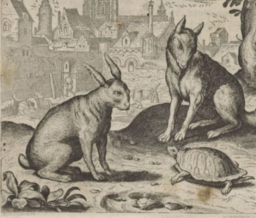 Fable of the Tortoise and the Hare