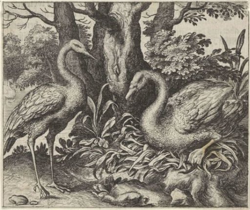 Fable of the Swan and the Stork