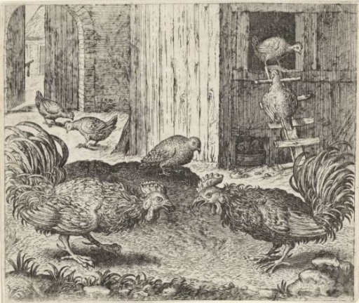 Fable of the Partridge and the Roosters