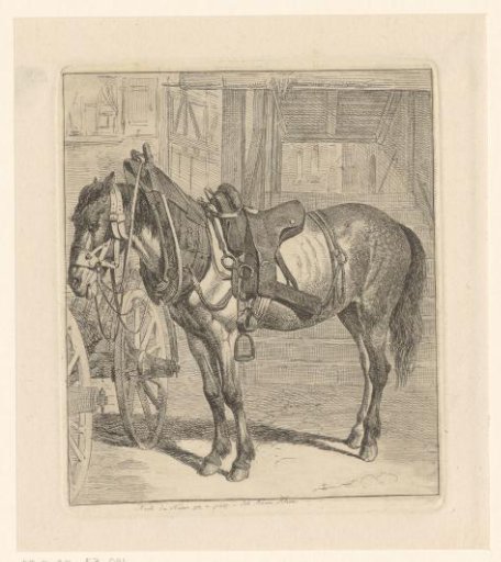 Horse with harness