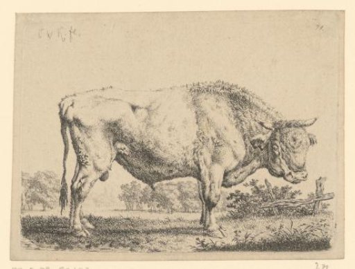 Landscape with a standing bull