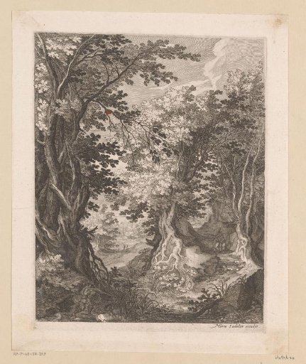 Road junction in a forest