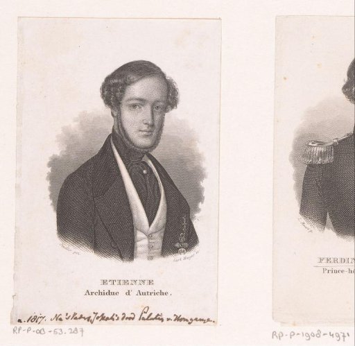 Portrait of Stephen Franz Viktor, Archduke of Austria