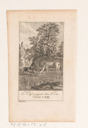Fable of the Stag Seeing Himself in the Water